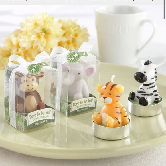 KATE ASPEN ⭐️  wild animal “born to be wild” candels - Picture 1 of 7